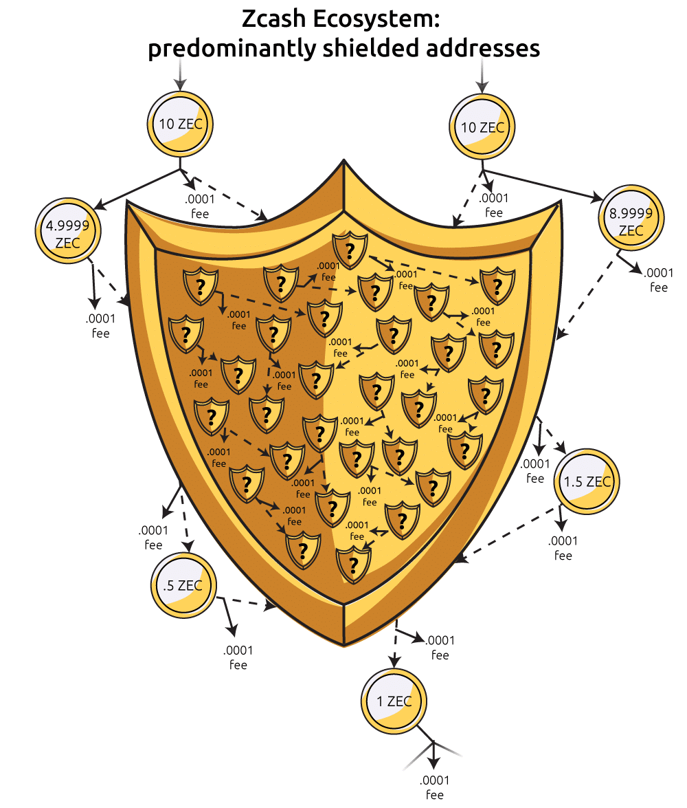 A depiction of a transaction graph with a larger number of shielded addresses