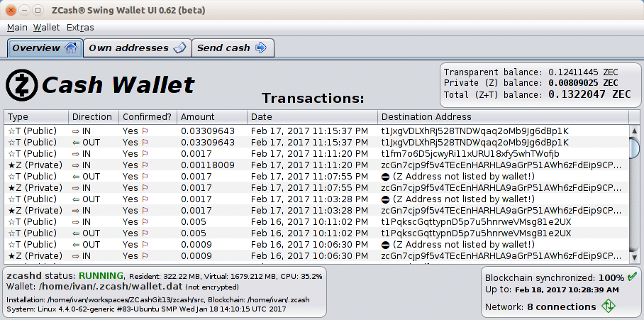 Screenshot of Zcash Swing Wallet UI