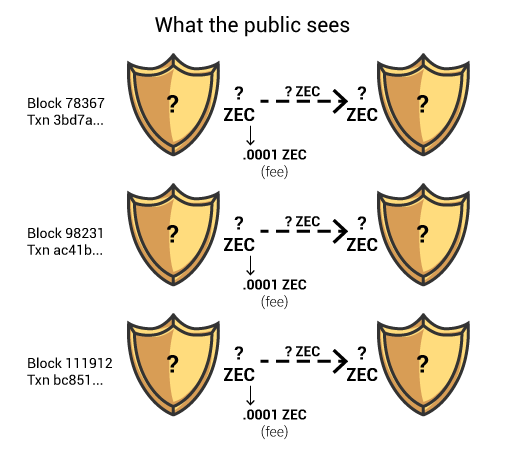 What the public sees